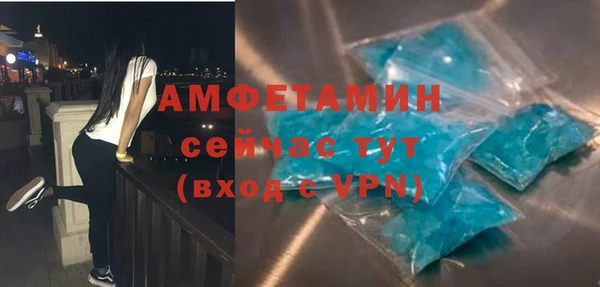индика Арсеньев