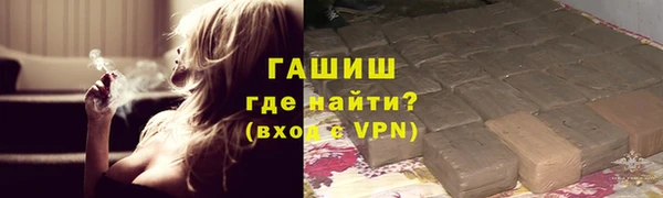 индика Арсеньев