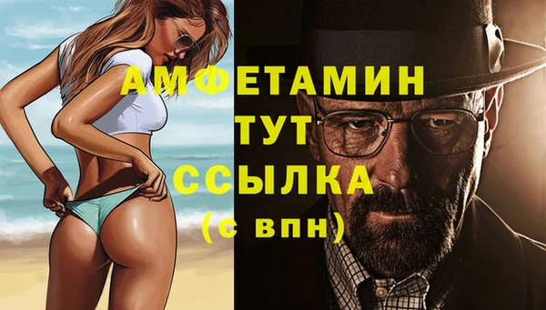 индика Арсеньев