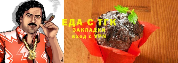 индика Арсеньев