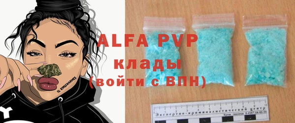 индика Арсеньев